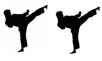 लुम्बिनीमा अन्तर्राष्ट्रिय कराँते सेमिनारको तयारी