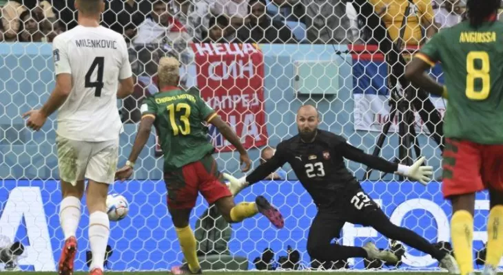 फिफा विश्वकप : क्यामरुन र सर्बियाले बराबरी खेले