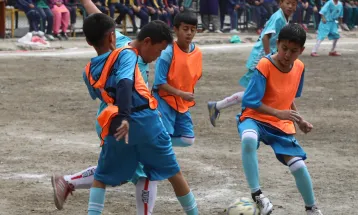 लोयल्टी र काष्ठमण्डप सेमिफाइनलमा