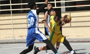 प्याब्सन मध्य क्षेत्रीय बास्केटबल : हेम्स र मार्वलस फाइनलमा