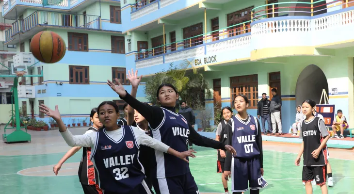 भ्याली पब्लिक र फेरिल्यान्ड उपाधिनजिक